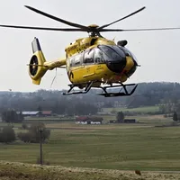 2026-03-08_15_23_02_THL-Wald(2).jpg