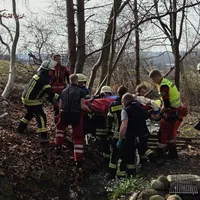 2026-03-08_15_23_02_THL-Wald(1).jpg