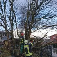 sturm_sabine_2020_2_2020-02-10.jpg