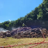 brand_pferdemist_drossling_05_2022-07-06.jpg