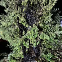 2026-07-17_23-23-12_B1 (1).jpg