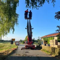 2023-07-02_20-00-28_thl1-baum-unering_1.jpg