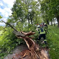 2024-06-07_15-19-53-THL-Unwetter (1).jpg