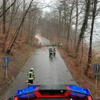 sturm_sabine_2020_11_2020-02-10.jpg